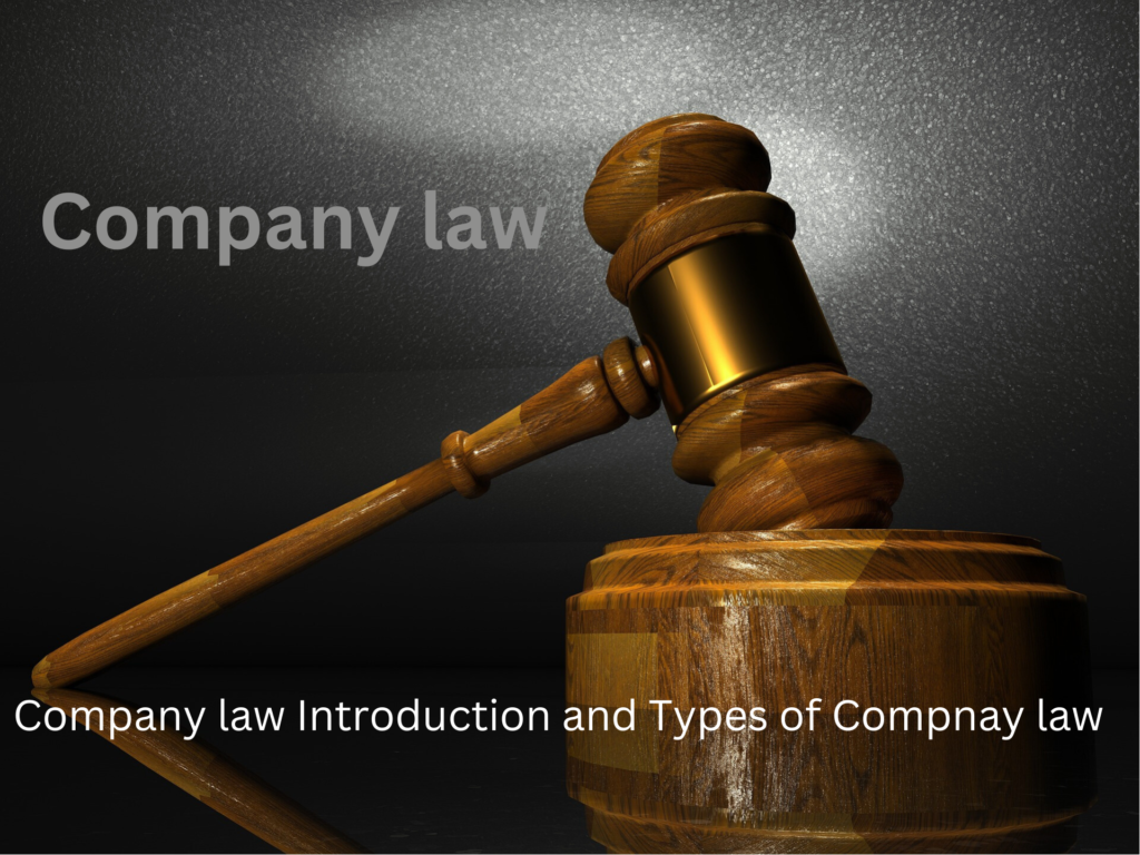 what is company law